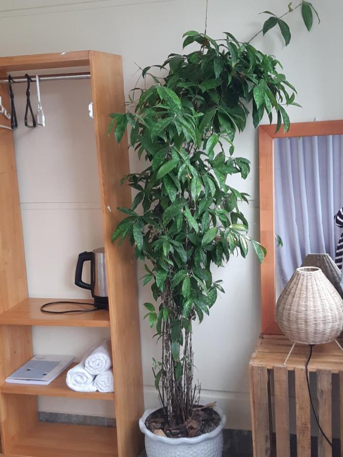 My Dream Hostel 달랏 외부 사진