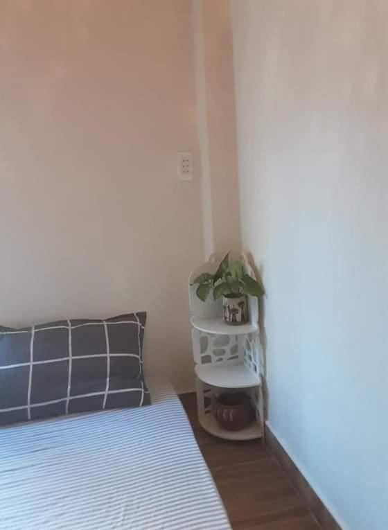 My Dream Hostel 달랏 객실 사진
